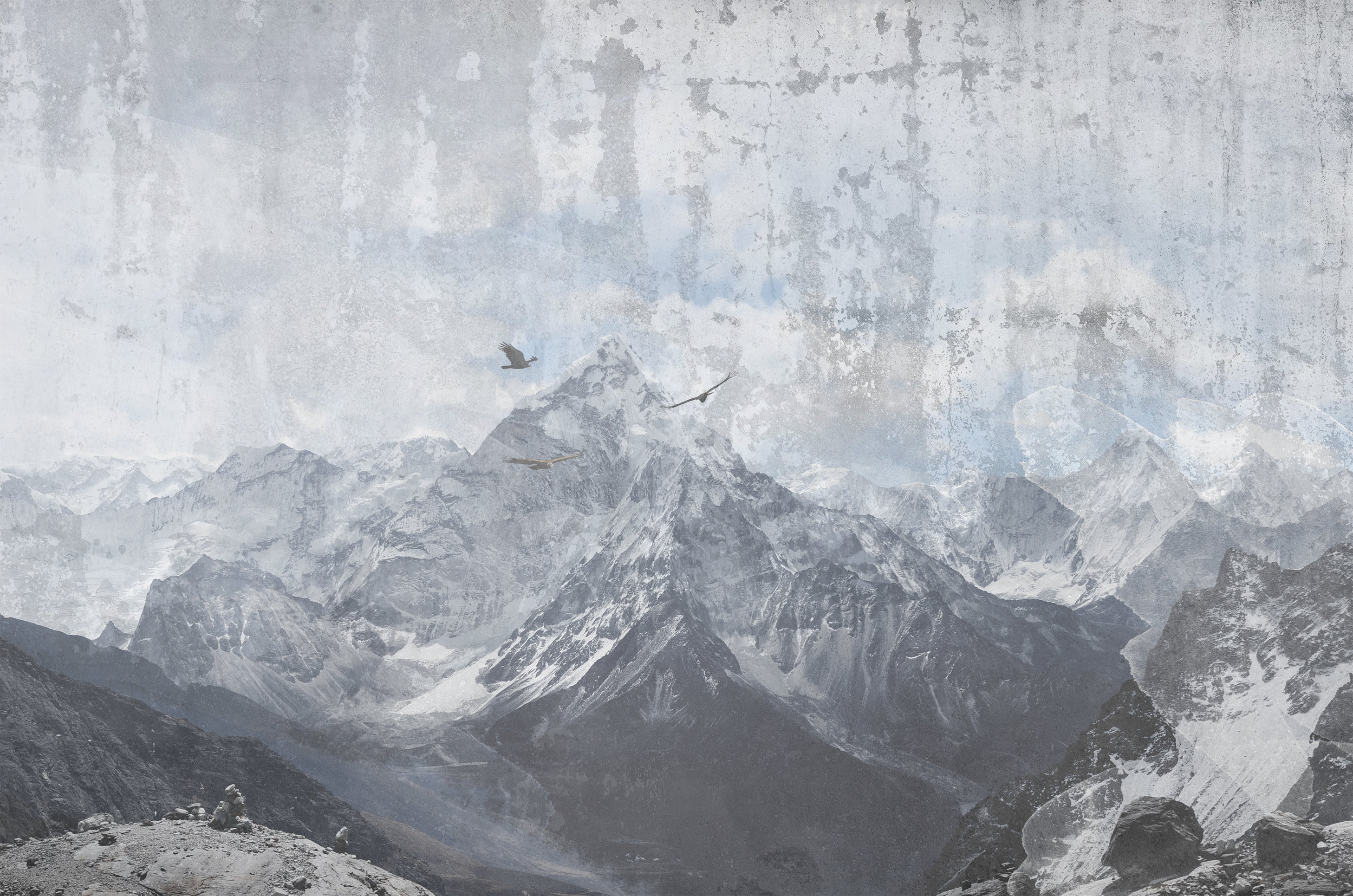 ANDES