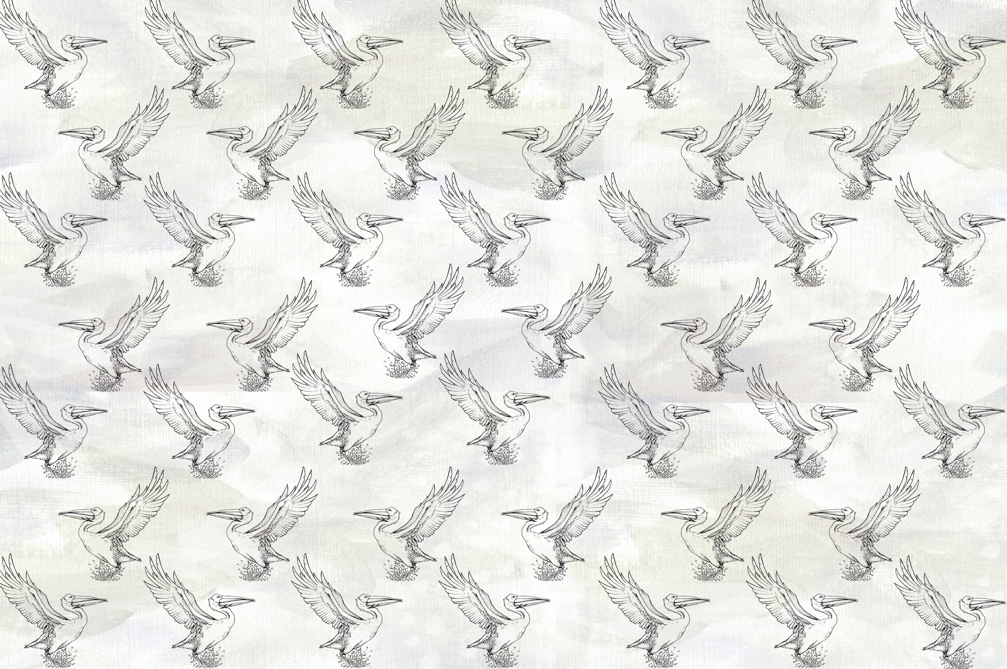 AVES ACUATICAS