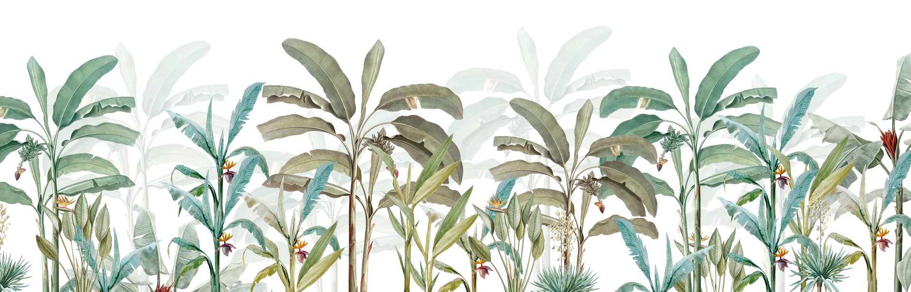 SELVA