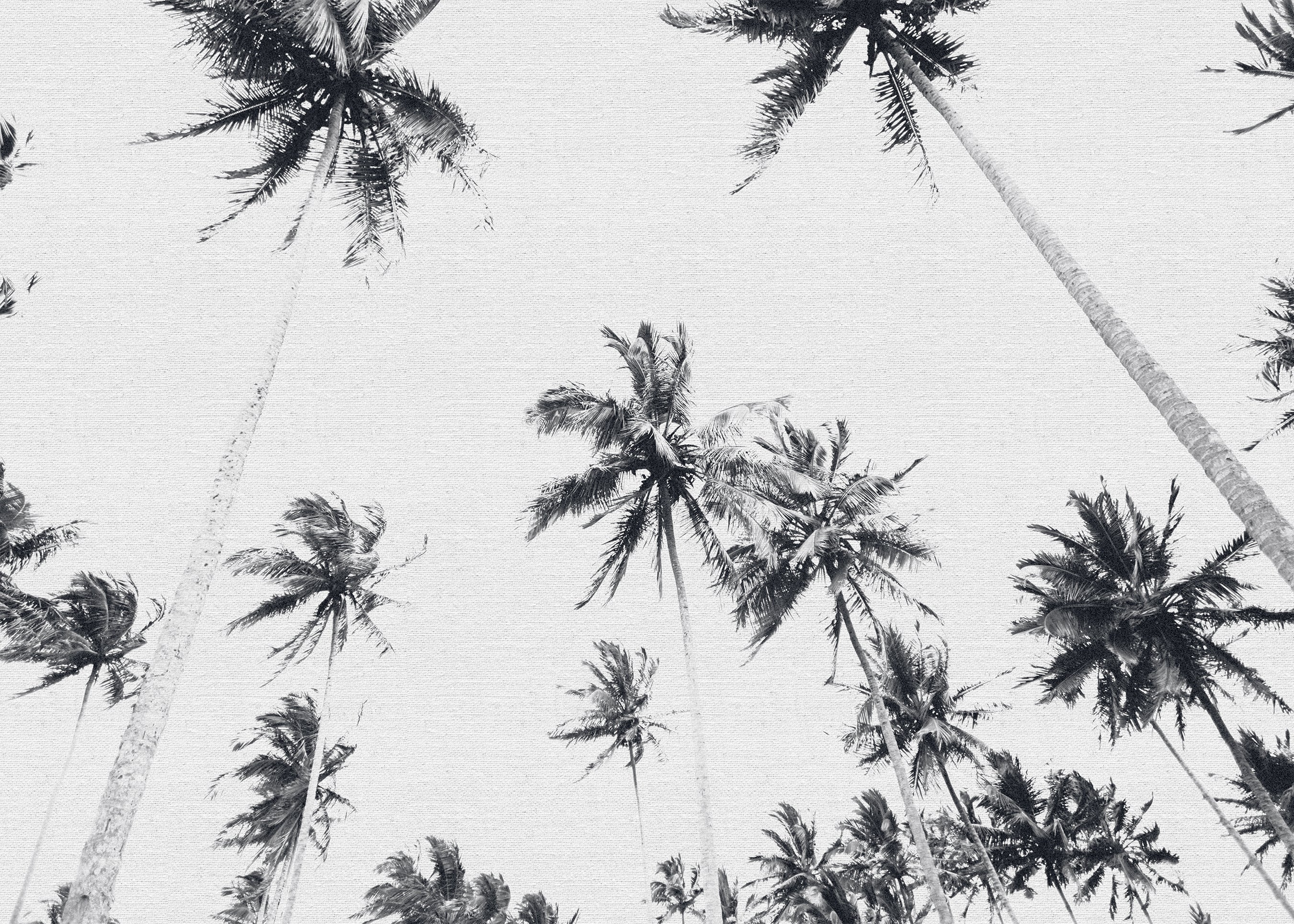 PALMERAS