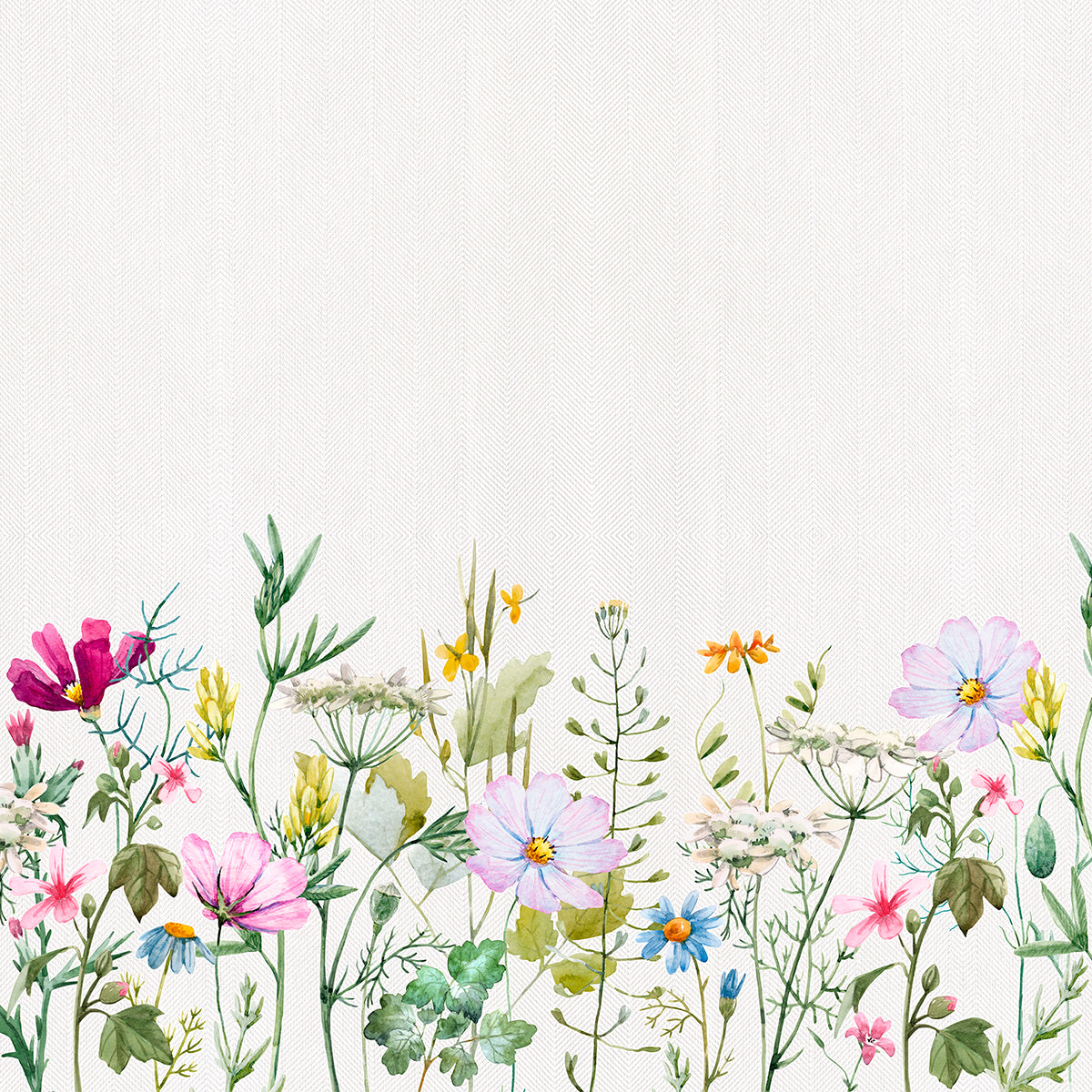 FLORES A RAIZ