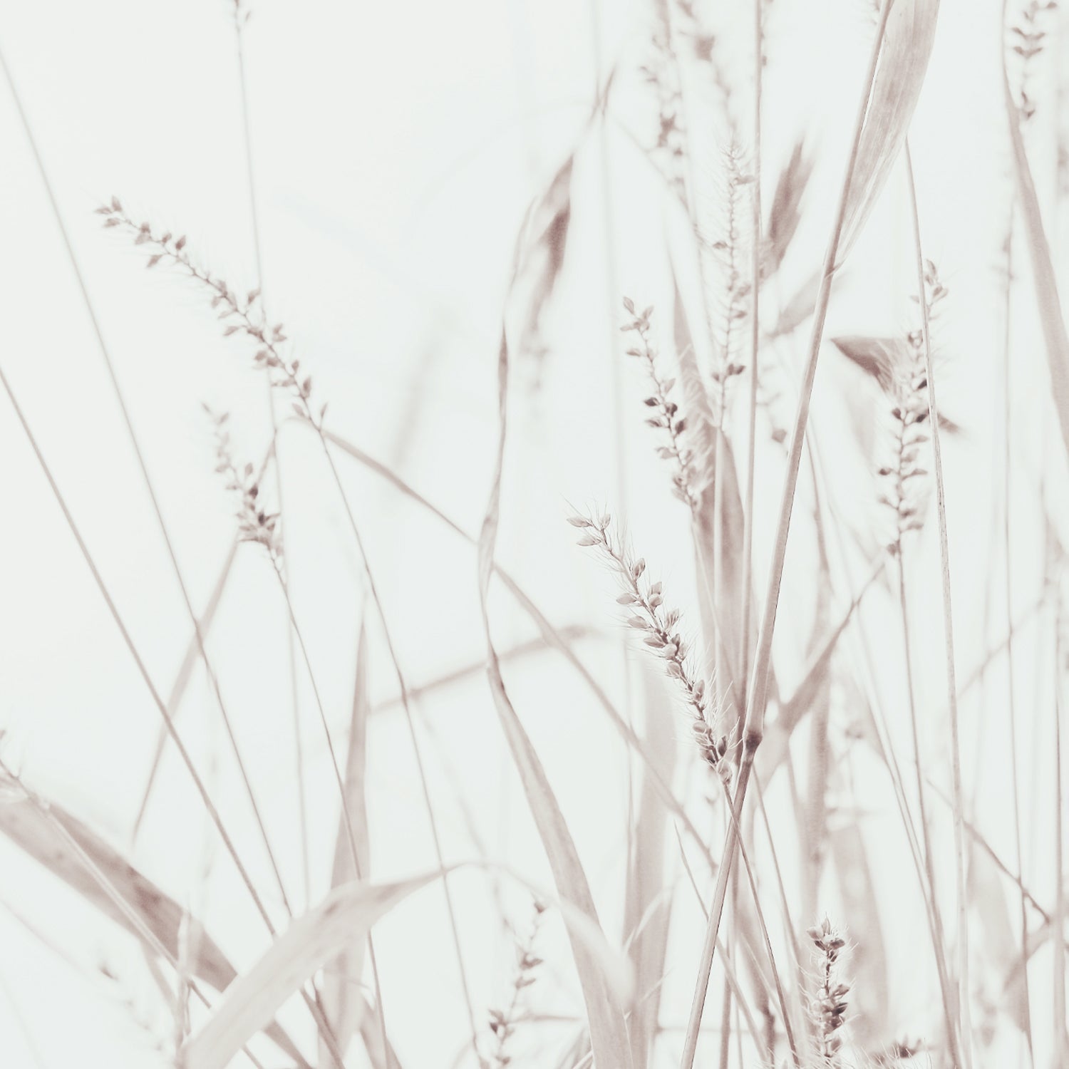 TOQUES BEIGE