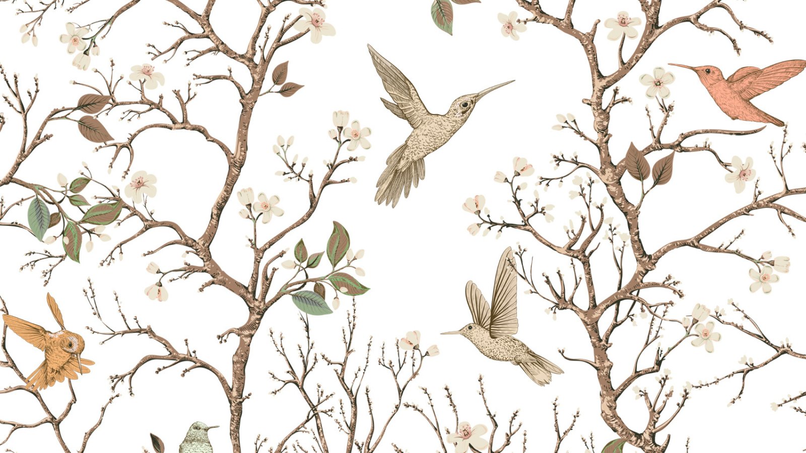 BOSQUE DE AVES