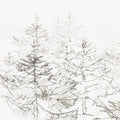 CALM FOREST