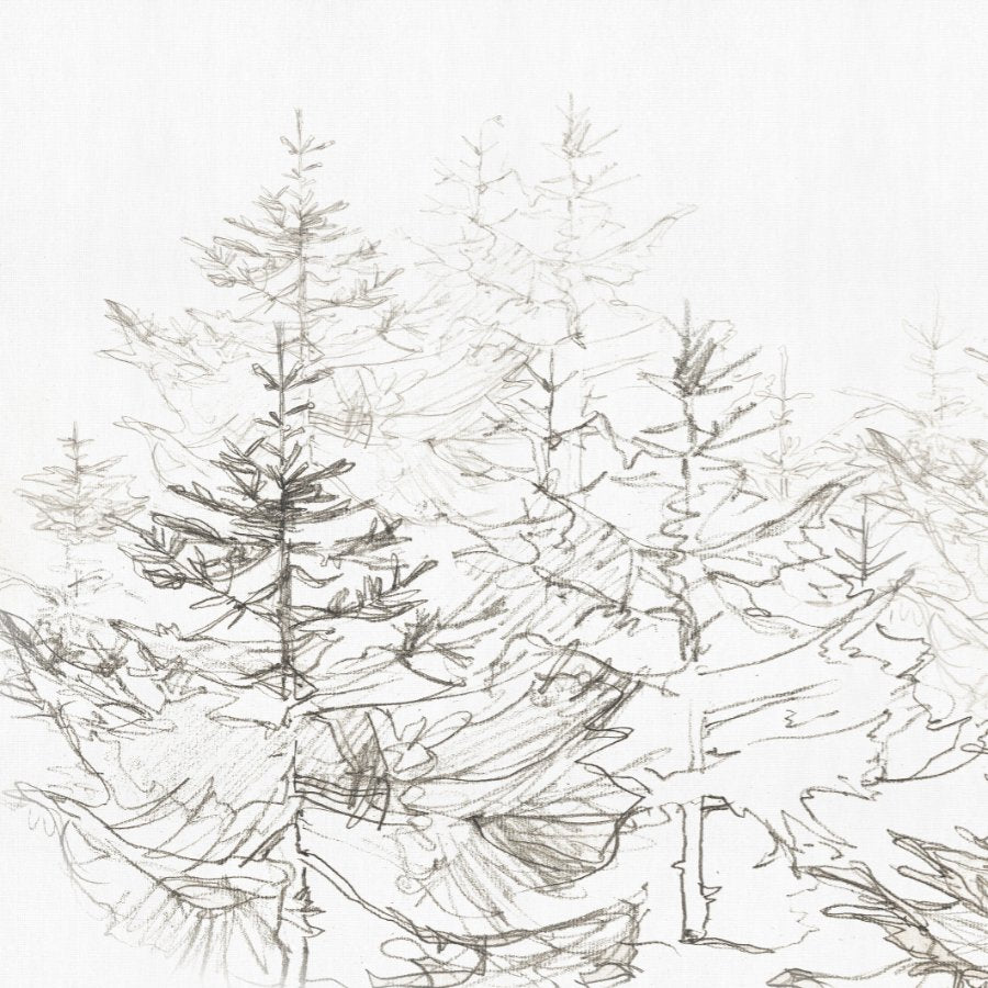 CALM FOREST