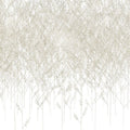 BOSQUE