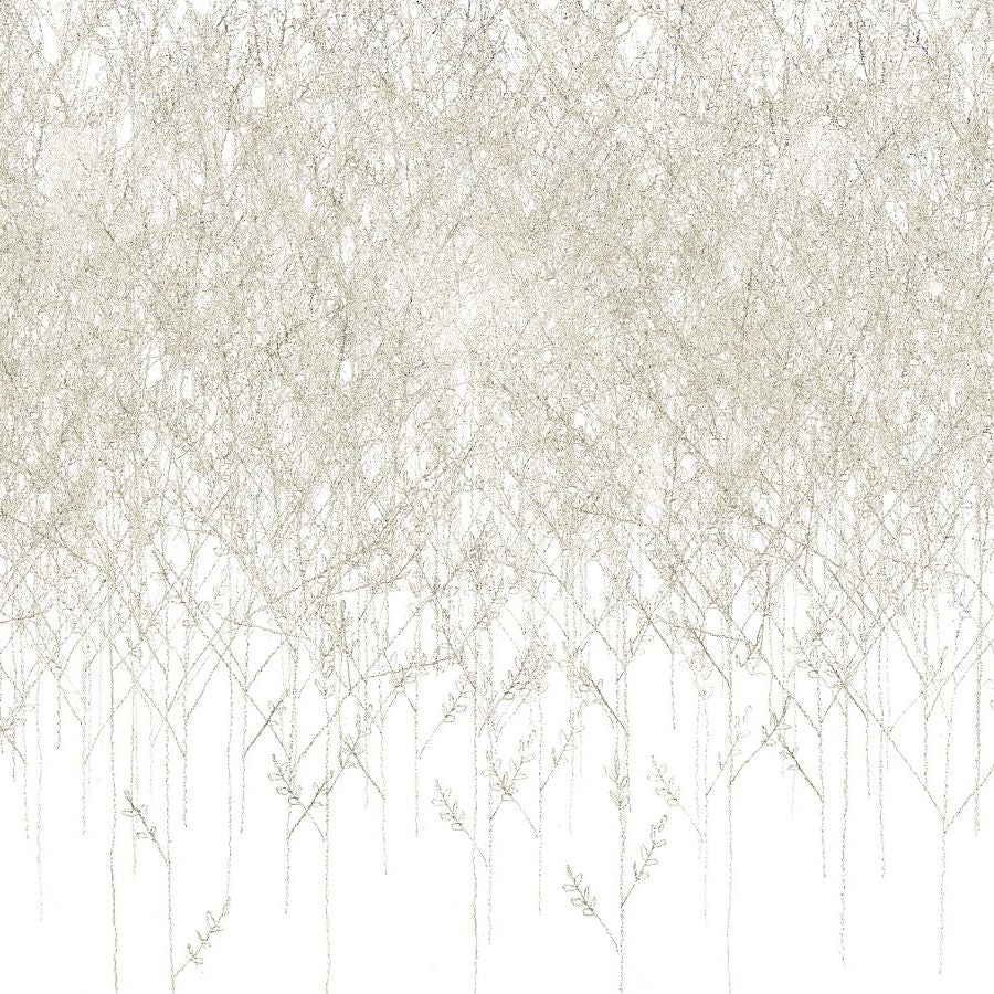 BOSQUE