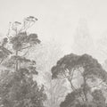 BOSQUE PROFUNDO