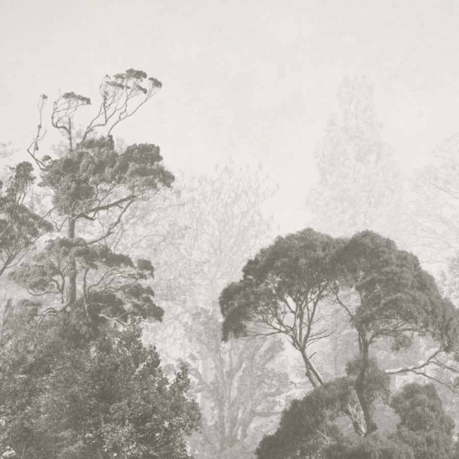 BOSQUE PROFUNDO