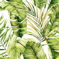 HOJAS TROPICALES