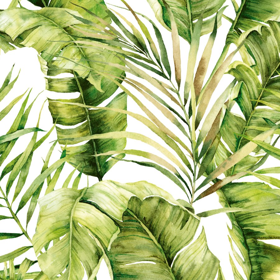 HOJAS TROPICALES