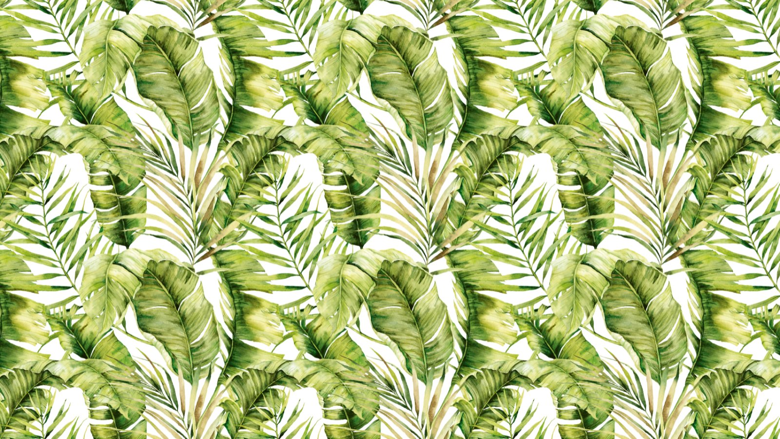 HOJAS TROPICALES