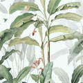 NUEVA SELVA