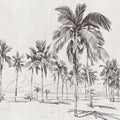 PALMERAS CARIBE