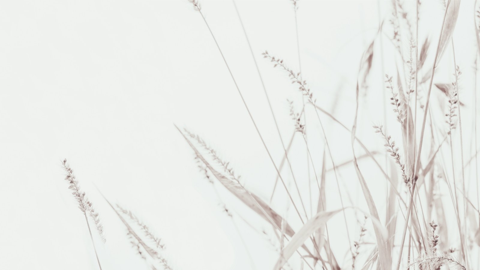 TOQUES BEIGE