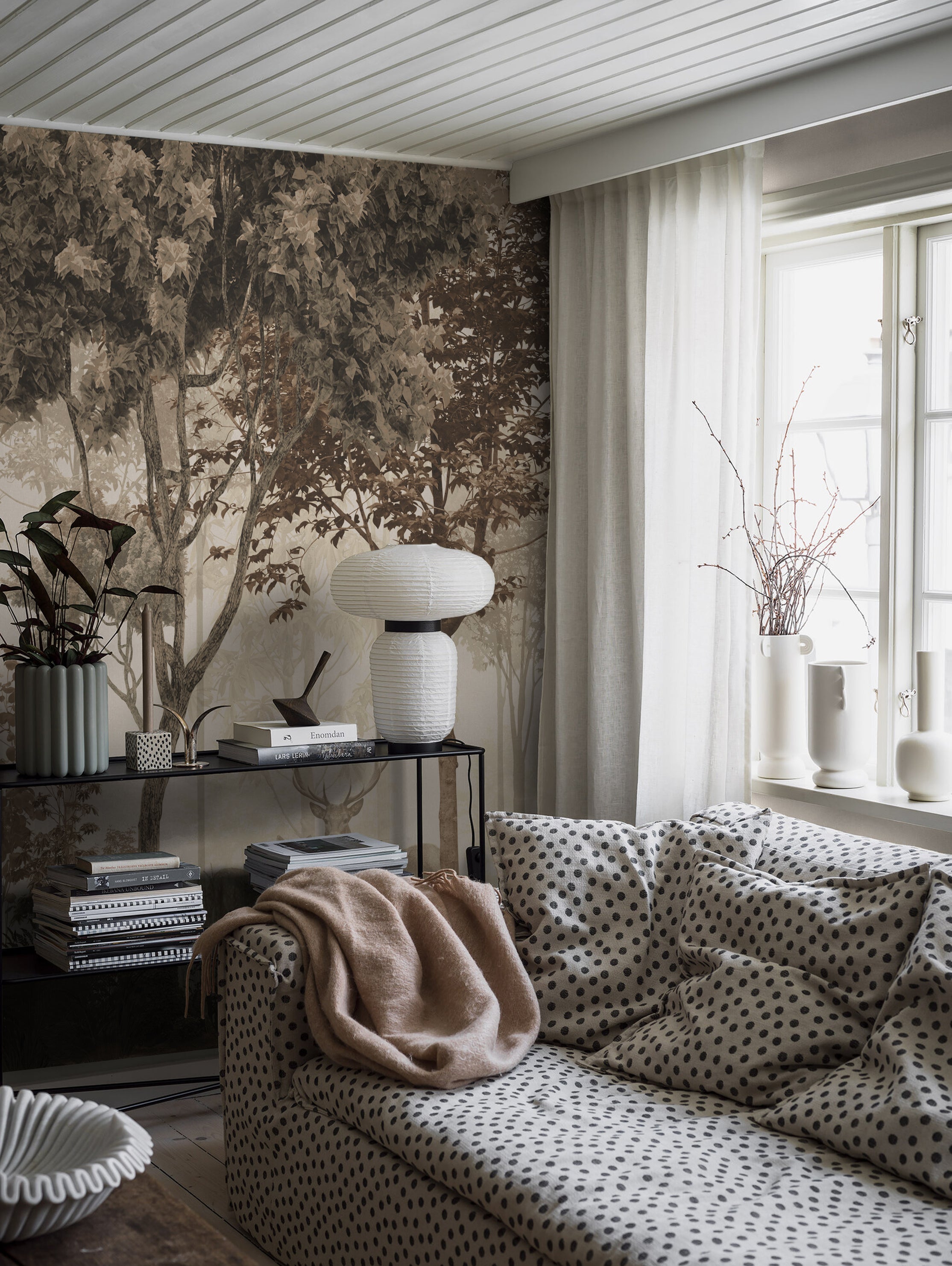 PAISAJE Y RENOS