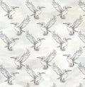 AVES ACUATICAS
