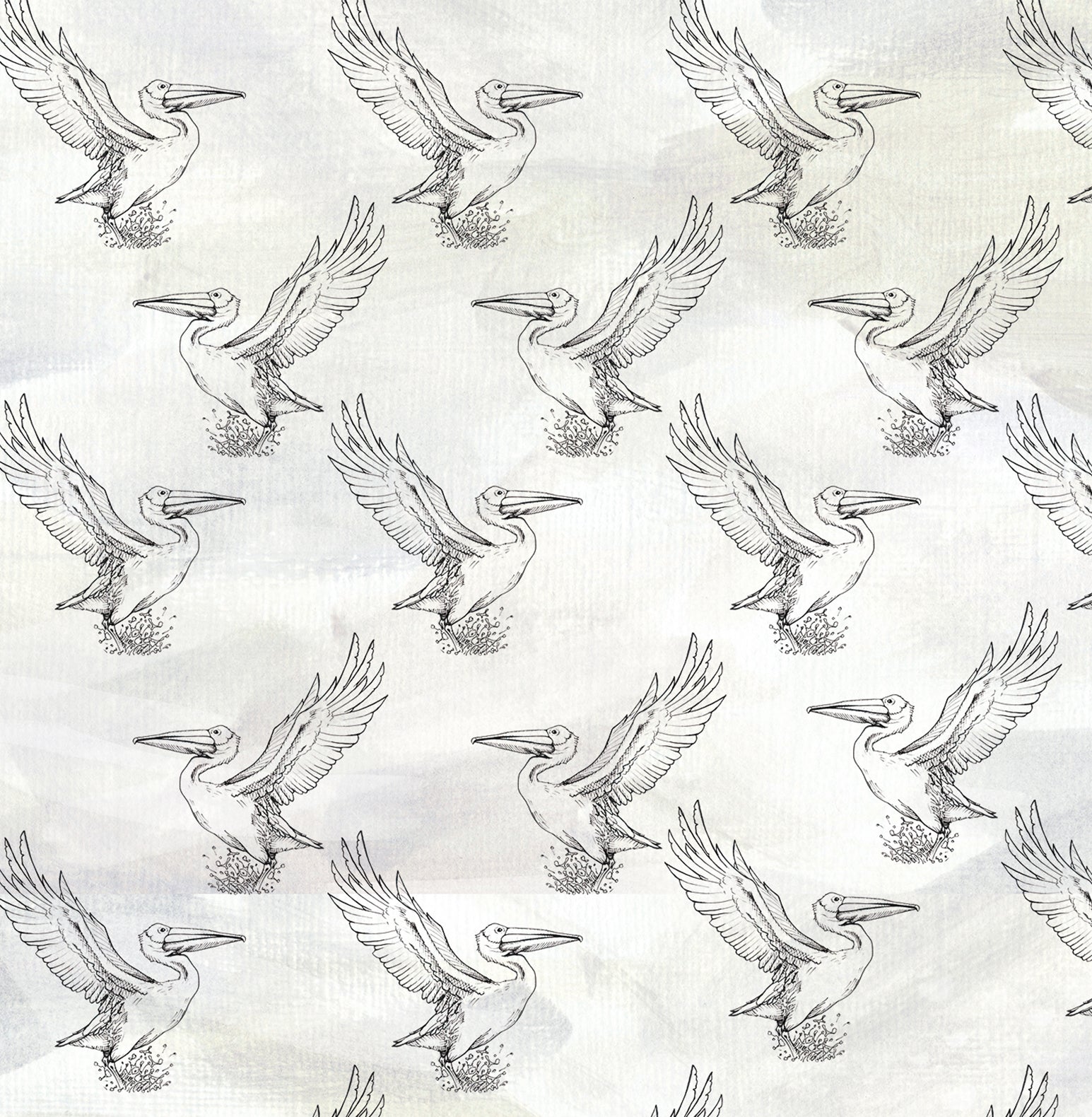 AVES ACUATICAS