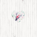 MADERAS Y AVES