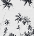 PALMERAS