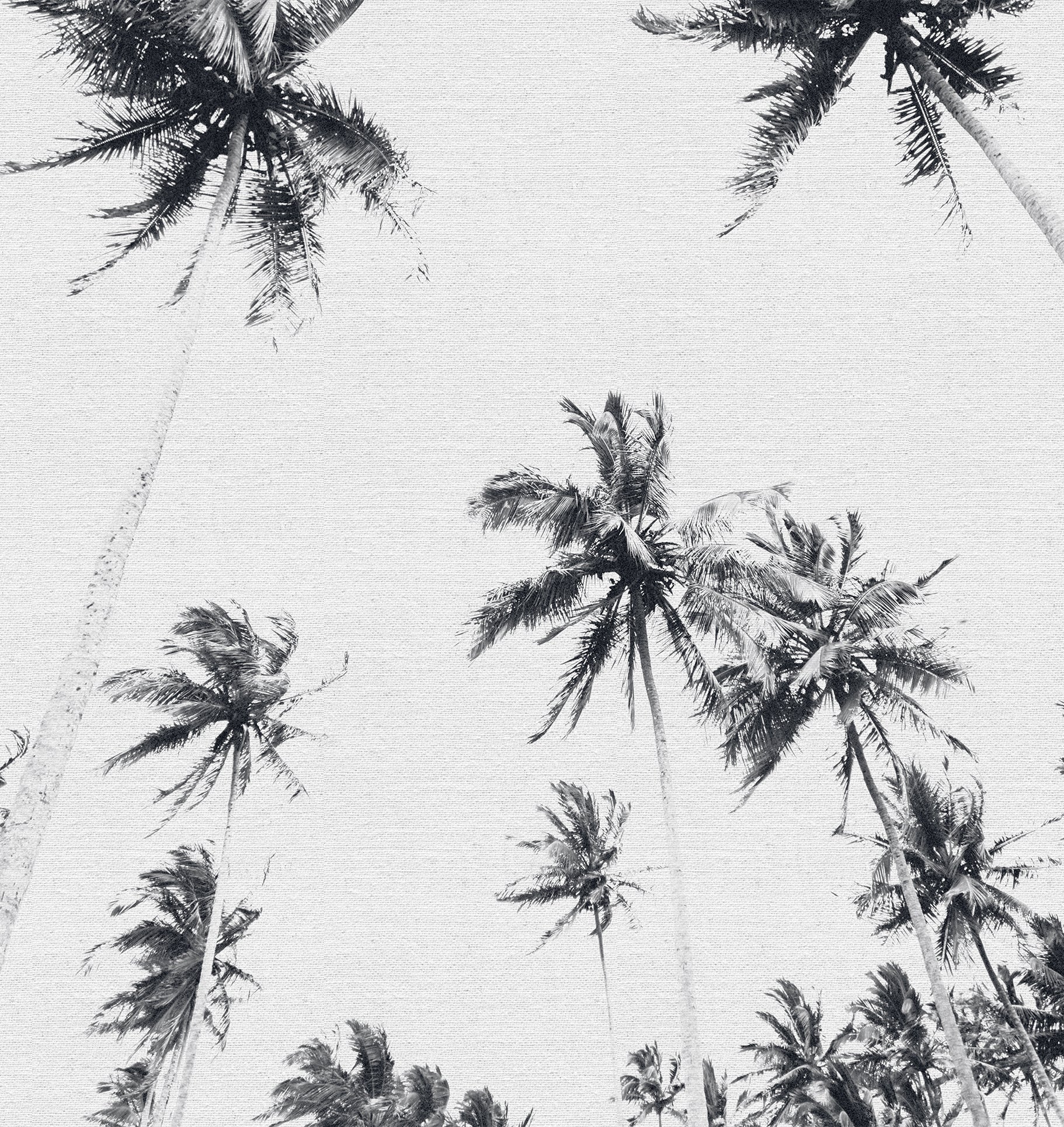 PALMERAS